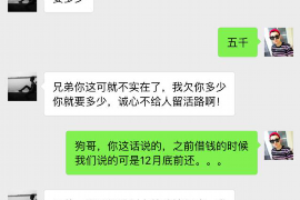 柏乡专业讨债公司有哪些核心服务？